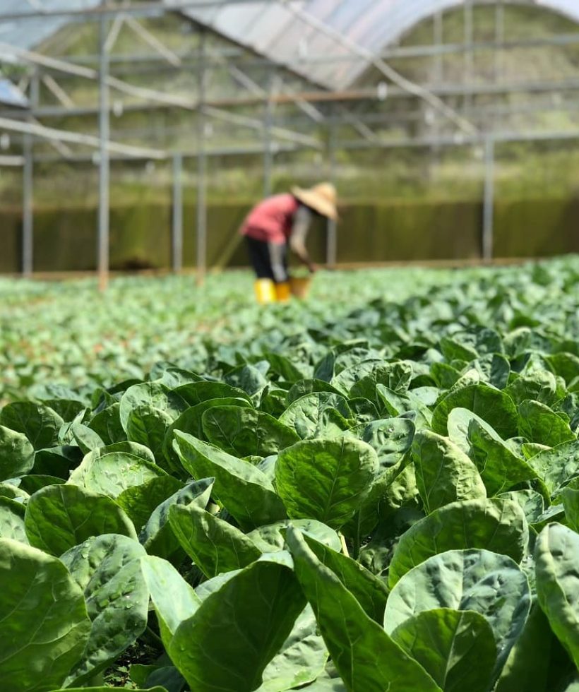 pexels-soo-ann-woon-3265437