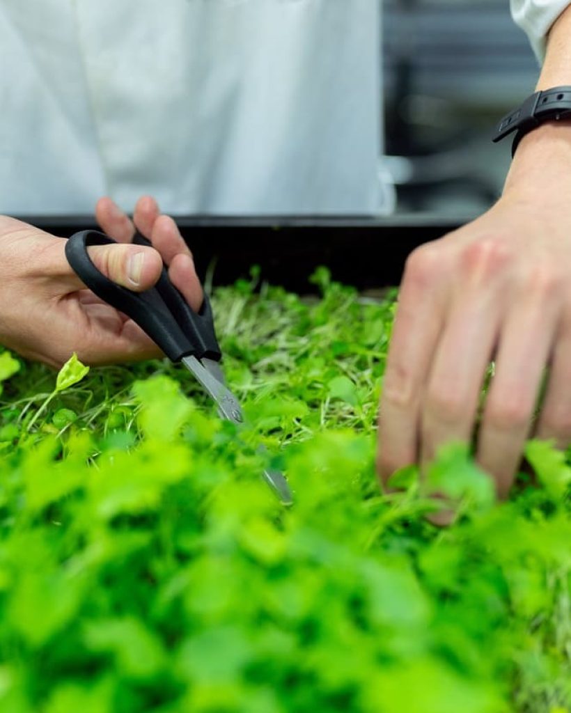 pexels-thisisengineering-3912947