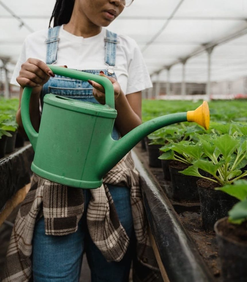 pexels-tima-miroshnichenko-6508404